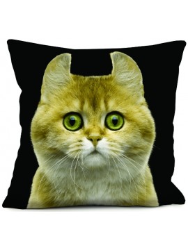Coussin chat Chipie 40 x 40