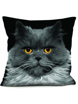 Coussin chat Léo 40 x 40