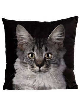 Coussin chat Mozart 40 x 40